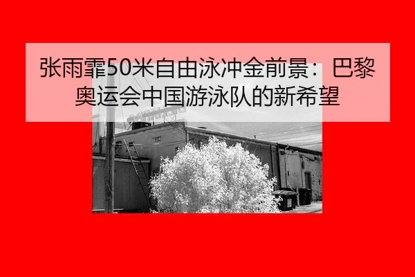 zhang-yu-fei-mi-zi-you-yong-chong-jin-qian-jing-ba-li-ao-yun-hui-zhong-guo-you-yong-dui-de-xin-xi-wang-2-149.jpg