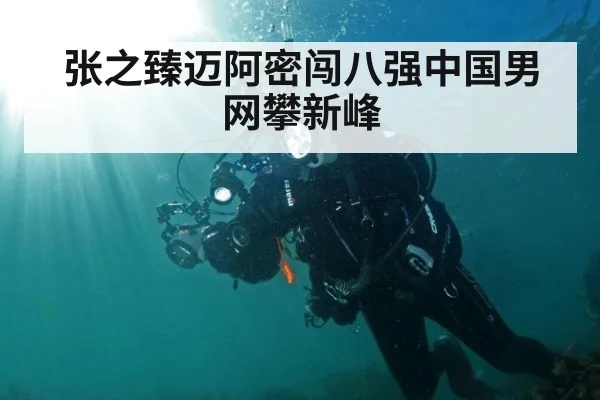 张之臻迈阿密闯八强中国男网攀新峰