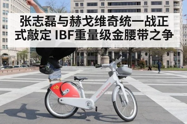 张志磊与赫戈维奇统一战正式敲定 IBF重量级金腰带之争